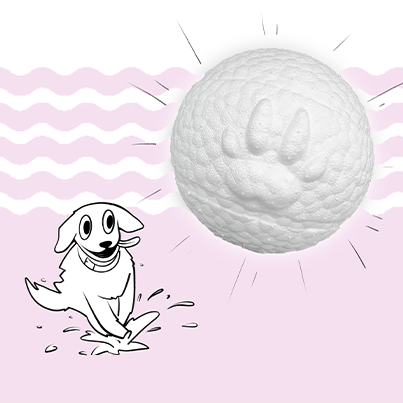 BOLA DE PATA