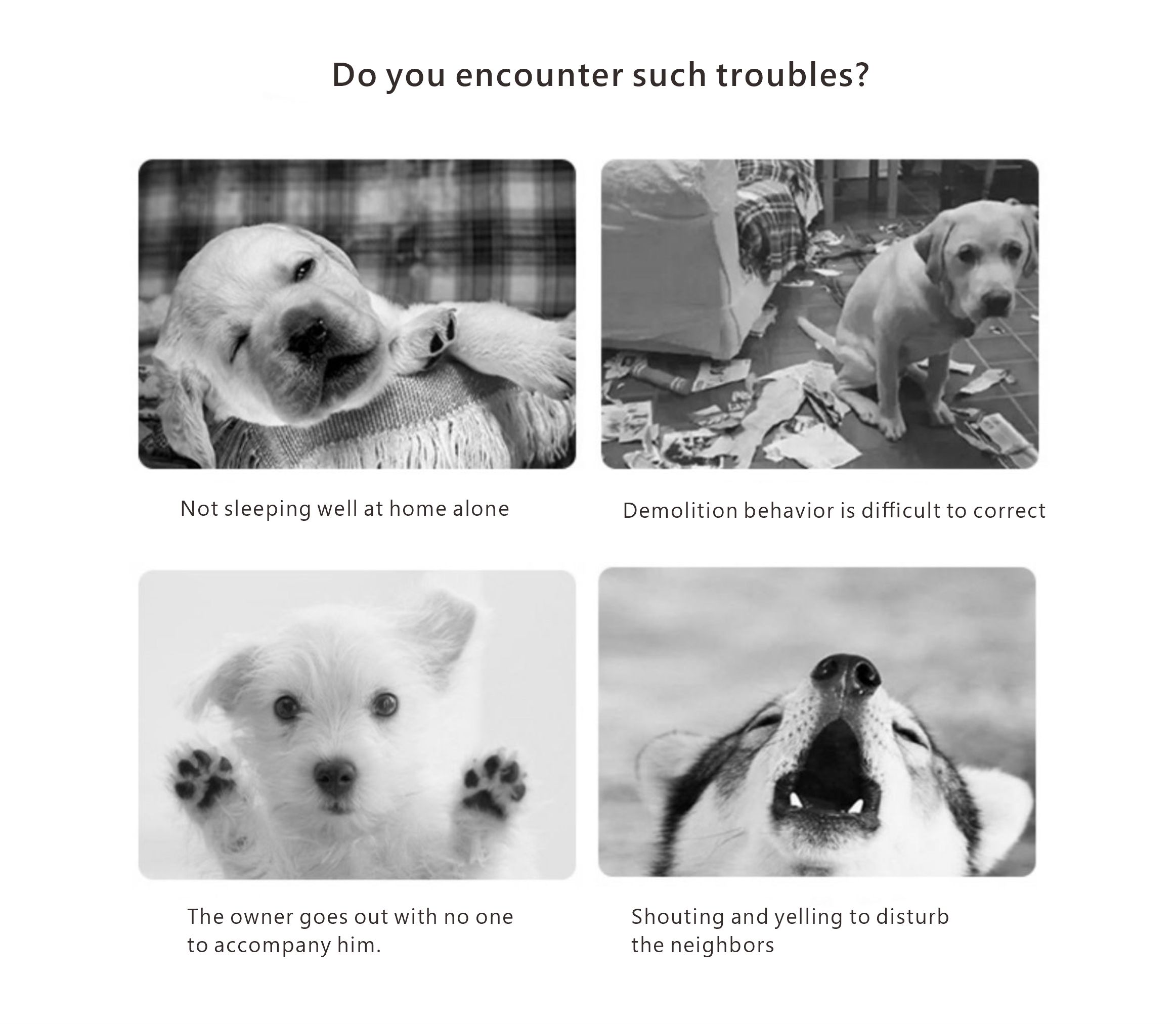 Juguetes de pelotas para perros para masticadores agresivos