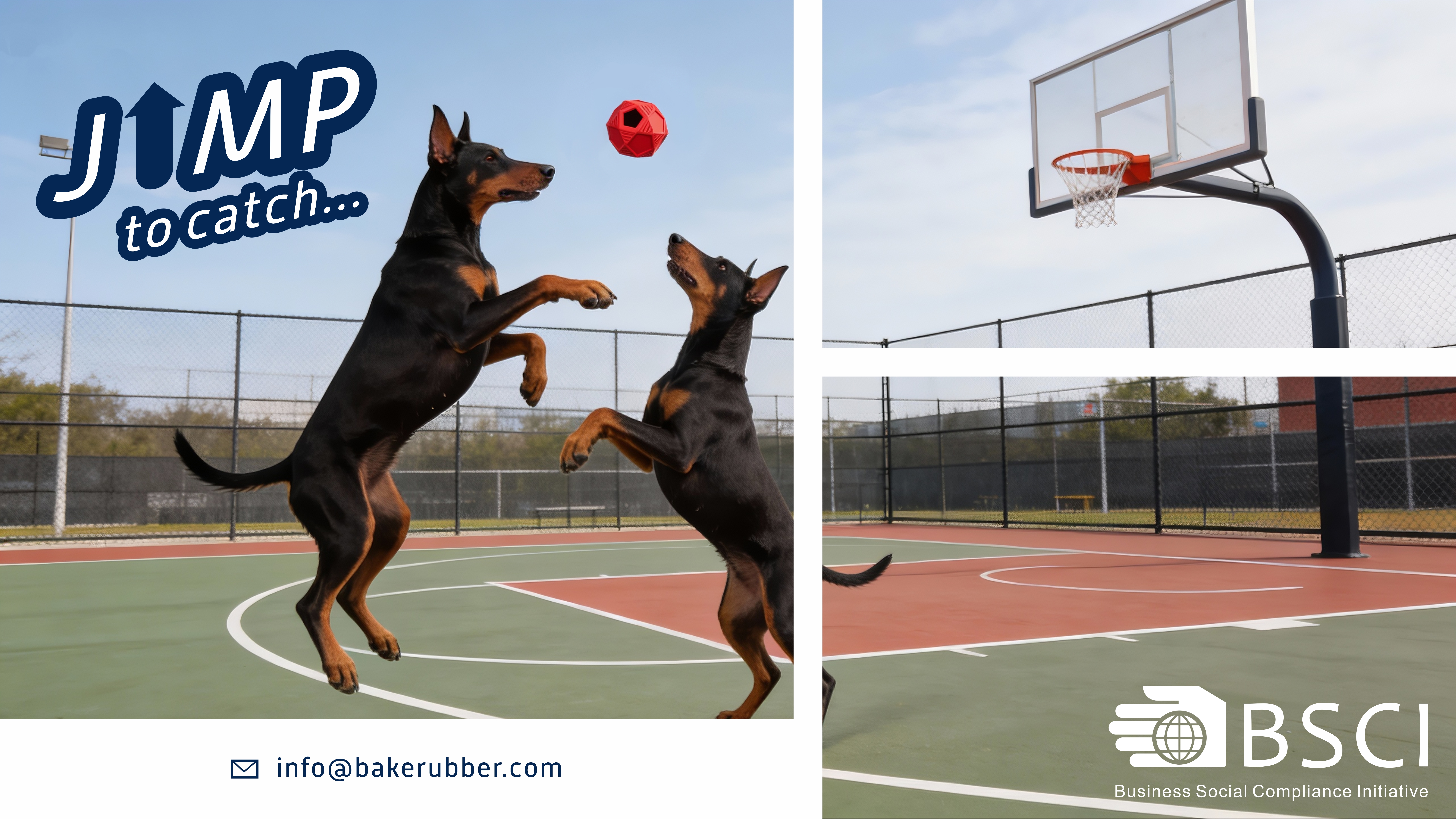 Cómo elegir un juguete de nailon seguro para su perro