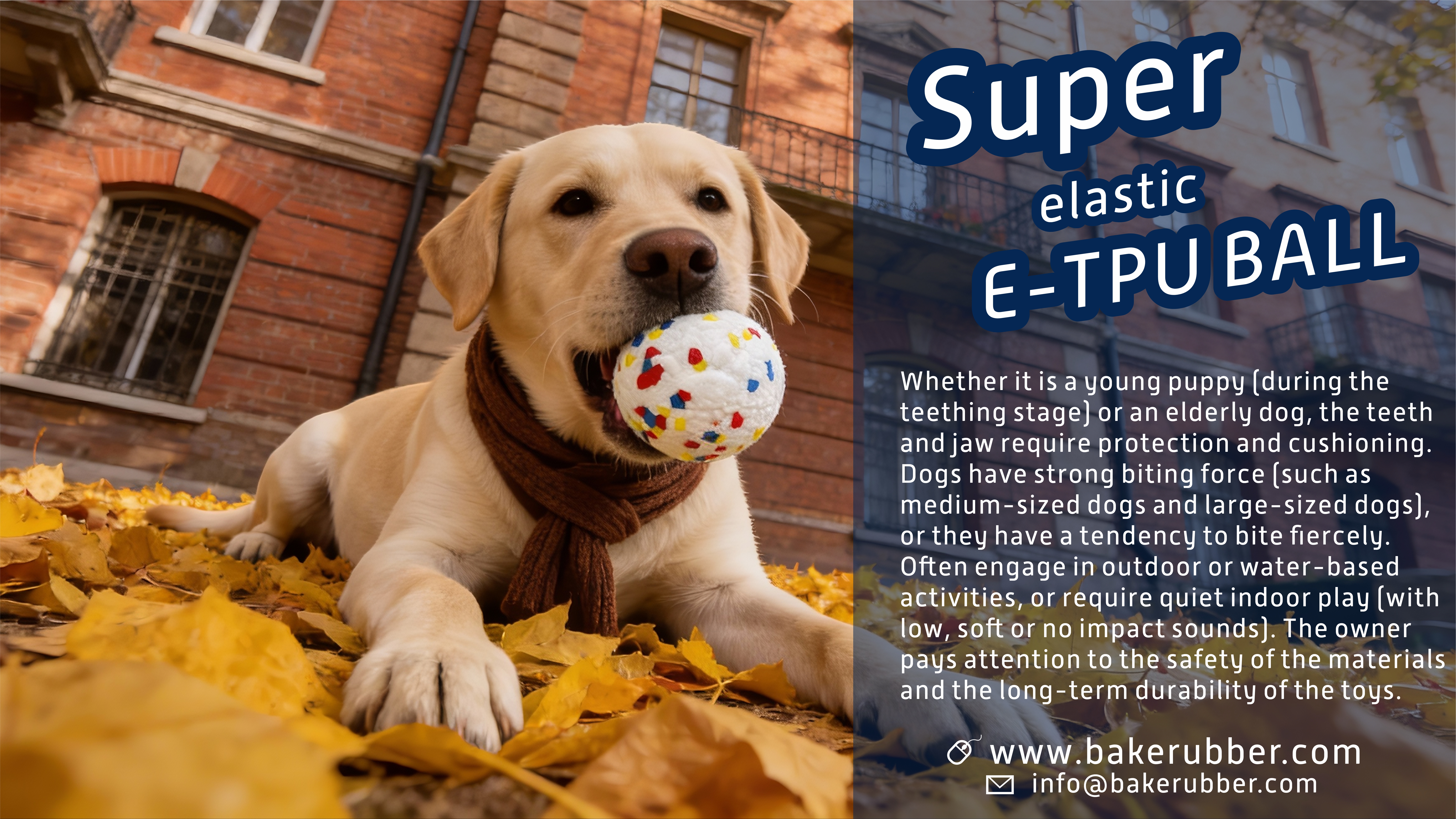 ¿Qué juguetes para perros ayudan a los masticadores agresivos con la ansiedad?