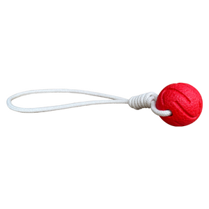 El animal doméstico de OEM/ODM juega el animal doméstico interactivo indestructible del juguete amistoso del perro de E-TPU Eco que mastica los juguetes