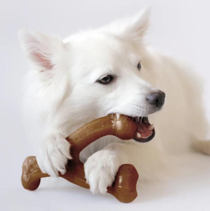 juguetes para perros no t&oacute;xicos