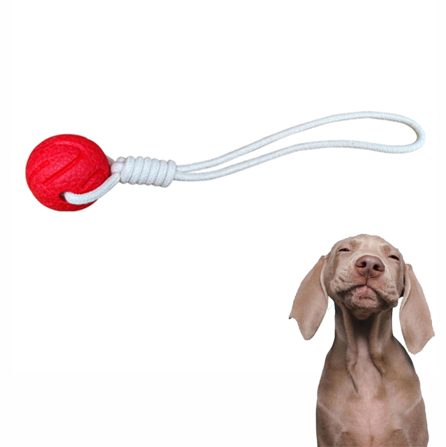 El animal doméstico de OEM/ODM juega los juguetes interactivos del perro de perrito del juguete amistoso del perro del tira y afloja del eco E-TPU fijados